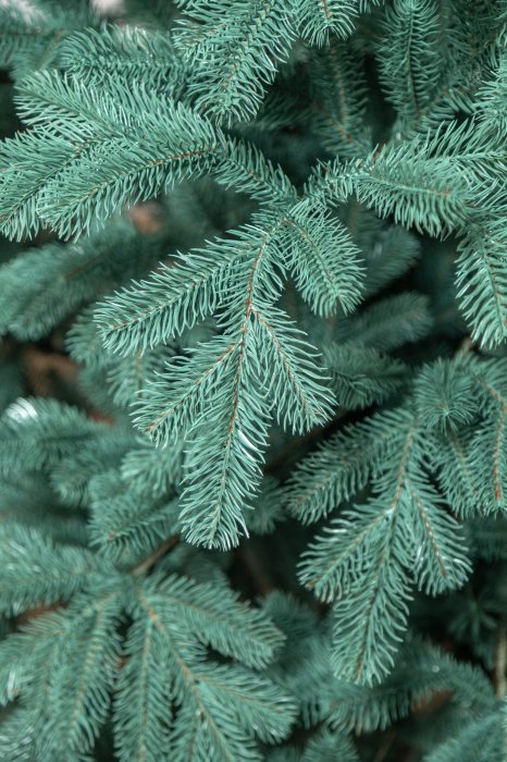 Brad artificial Christmas Deluxe by Sersimo, Kovalivka Select argintiu, integral 3D, 210 cm [23]