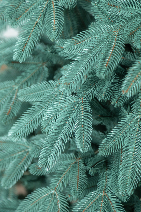 Brad artificial Christmas Deluxe by Sersimo, Laponia Select argintiu, integral 3D, 230cm [28]