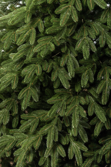 Brad artificial Christmas Deluxe by Sersimo, Laponia Select, integral 3D, 230cm [20]