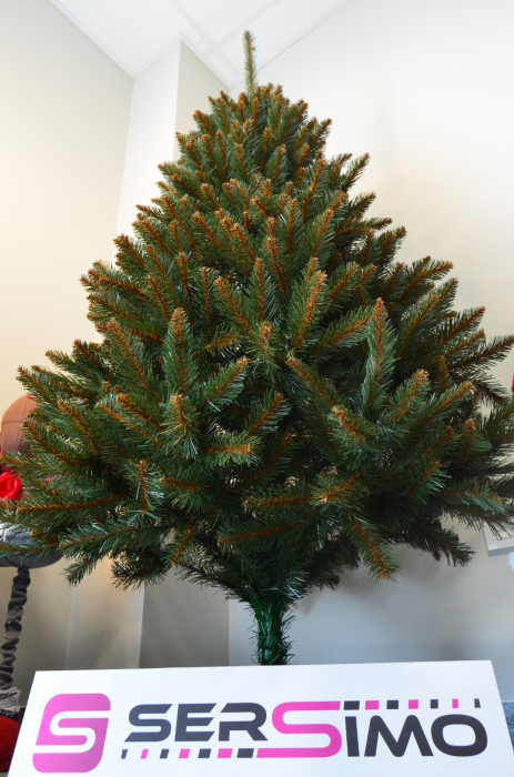 Brad artificial Christmas Deluxe by Sersimo, Royal, 180cm [19]