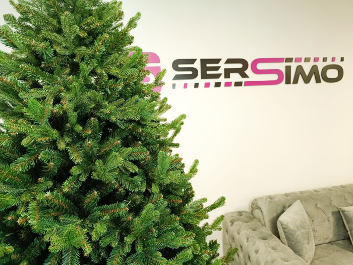 Brad artificial Christmas Deluxe by Sersimo, Royal Felara, 2D+3D, 250cm [27]