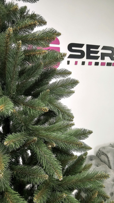 Brad artificial Christmas Deluxe by Sersimo, Victoria verde, 2D, 200cm [5]