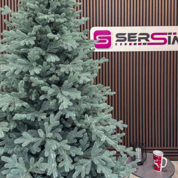 Brad artificial Christmas Deluxe by Sersimo, Viena Select argintiu, integral 3D, 250 cm [12]