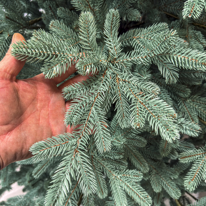 Brad artificial Christmas Deluxe by Sersimo, Viena Select argintiu, integral 3D, 250 cm [10]