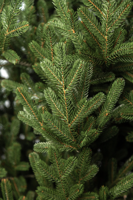 Brad artificial Christmas Deluxe by Sersimo, Viena Select, integral 3D, 230cm [9]