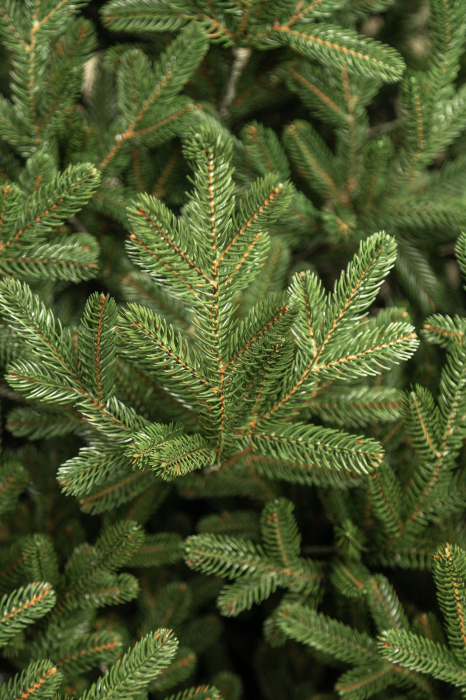 Brad artificial Christmas Deluxe by Sersimo, Viena Select, integral 3D, 230cm [8]