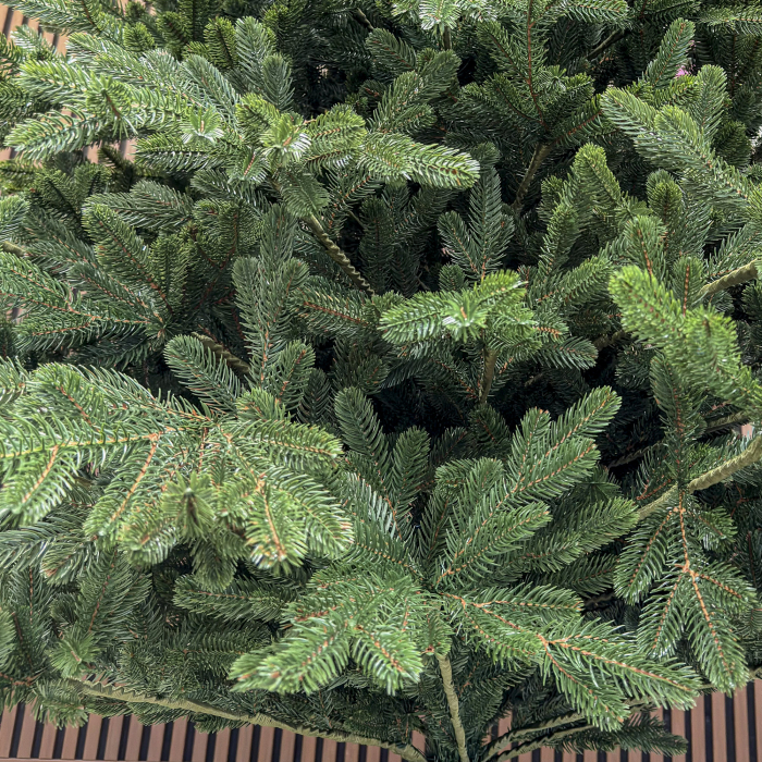 Brad artificial Christmas Deluxe by Sersimo, Viena Select, integral 3D, 250 cm [4]