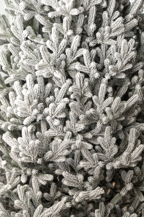 Brad artificial Christmas Deluxe by Sersimo, Viena Select nins, integral 3D, 210cm [18]