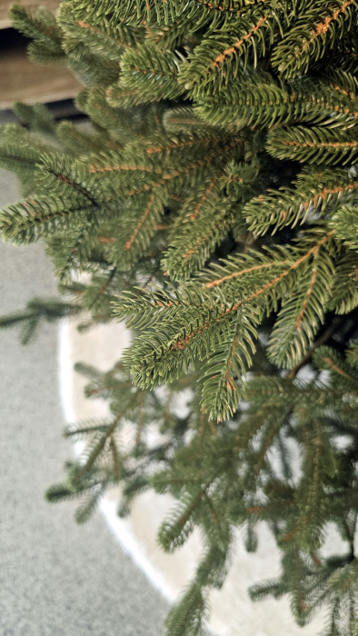 Brad artificial Christmas Deluxe by Sersimo, Viena verde, 3D, 250cm [9]