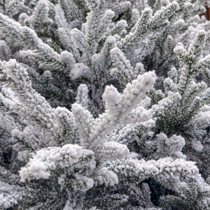 Brad artificial Sersimo, Alesea Elite, nins, integral 3D, 200 cm [3]