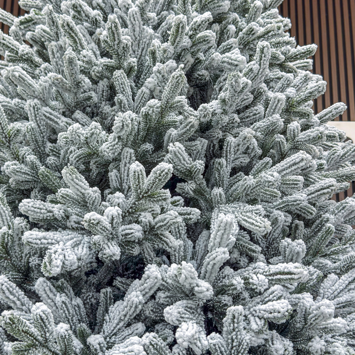 Brad artificial Sersimo, Alessandra Elite, nins, mix 2D+3D, 230 cm [6]