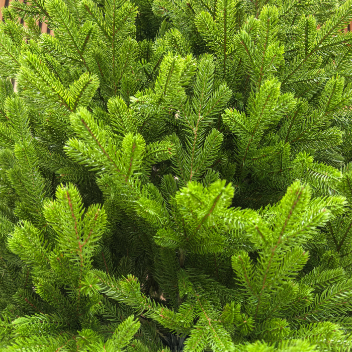 Brad artificial Sersimo, Alindra Elite, verde, integral 3D, 210 cm [7]