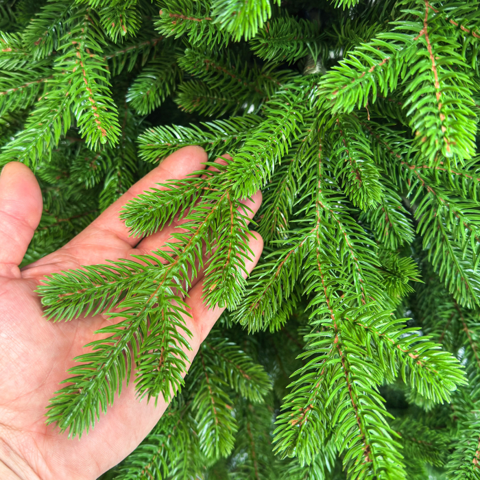 Brad artificial Sersimo, Alindra Elite, verde, integral 3D, 210 cm [10]