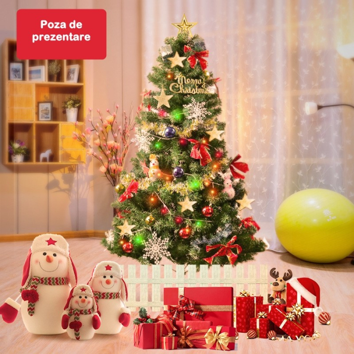 Brad de Craciun artificial cu suport inclus , 210 cm, 800 ramuri/varfuri, material plastic, suport clasic, fara iluminare, utilizat pentru interior/exterior, verde [9]