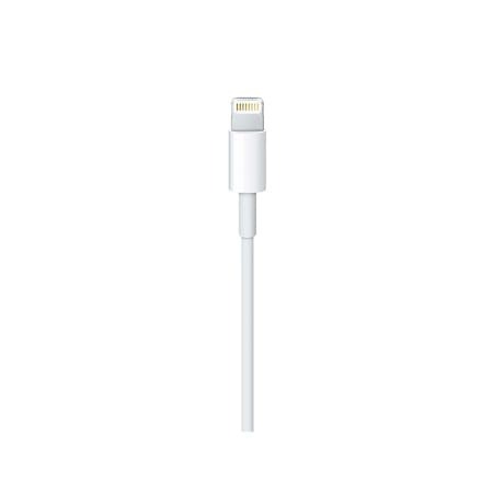 Cablu de date si de incarcare Apple, USB Tip-C-Lightning, 1 metru, , Alb [3]