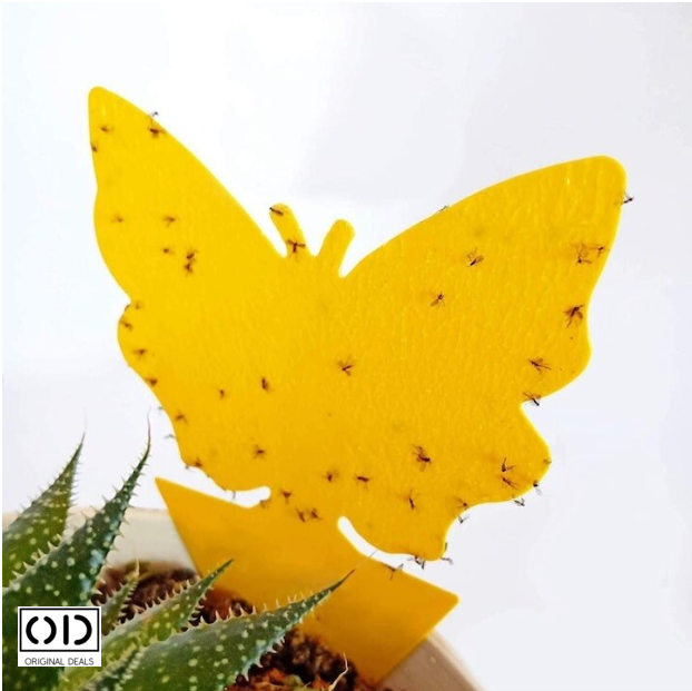 capcane adezive insecte ghiveci capcane lipicioase plante flori capcane galbene insecte daunatoare capcane muste tantari afide plante capcane pentru paianjeni si buburuze capcane anti insecte gradina sera set capcane adezive flori fluturi capcane naturale fara chimicale plante capcane lipicioase pentru interior si exterior capcane insecte original deals [12]