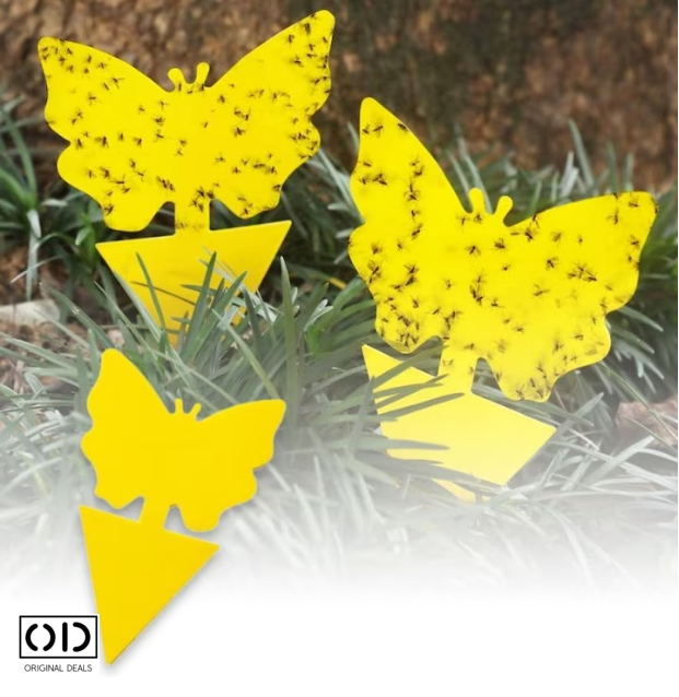 capcane adezive insecte ghiveci capcane lipicioase plante flori capcane galbene insecte daunatoare capcane muste tantari afide plante capcane pentru paianjeni si buburuze capcane anti insecte gradina sera set capcane adezive flori fluturi capcane naturale fara chimicale plante capcane lipicioase pentru interior si exterior capcane insecte original deals [10]