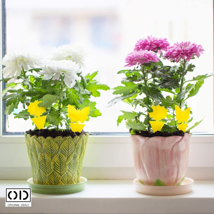 capcane adezive insecte ghiveci capcane lipicioase plante flori capcane galbene insecte daunatoare capcane muste tantari afide plante capcane pentru paianjeni si buburuze capcane anti insecte gradina sera set capcane adezive flori fluturi capcane naturale fara chimicale plante capcane lipicioase pentru interior si exterior capcane insecte original deals [15]