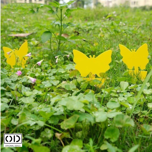 capcane adezive insecte ghiveci capcane lipicioase plante flori capcane galbene insecte daunatoare capcane muste tantari afide plante capcane pentru paianjeni si buburuze capcane anti insecte gradina sera set capcane adezive flori fluturi capcane naturale fara chimicale plante capcane lipicioase pentru interior si exterior capcane insecte original deals [28]