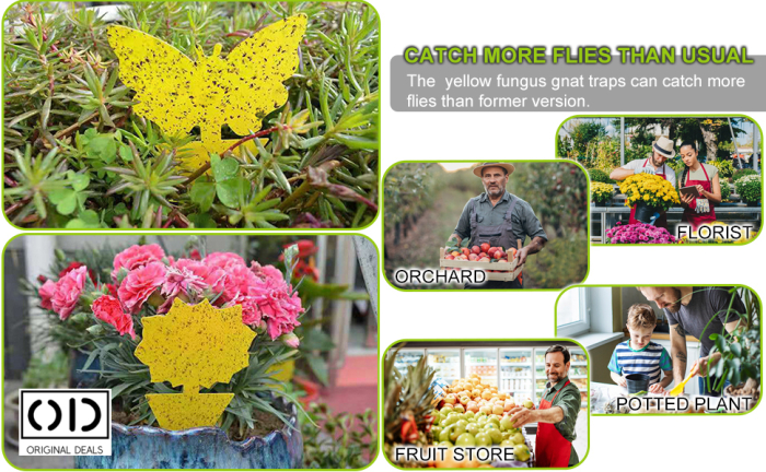 capcane adezive insecte ghiveci capcane lipicioase plante flori capcane galbene insecte daunatoare capcane muste tantari afide plante capcane pentru paianjeni si buburuze capcane anti insecte gradina sera set capcane adezive flori fluturi capcane naturale fara chimicale plante capcane lipicioase pentru interior si exterior capcane insecte original deals [1]