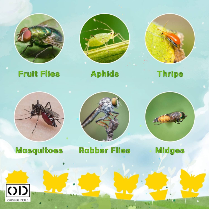 capcane adezive insecte ghiveci capcane lipicioase plante flori capcane galbene insecte daunatoare capcane muste tantari afide plante capcane pentru paianjeni si buburuze capcane anti insecte gradina sera set capcane adezive flori fluturi capcane naturale fara chimicale plante capcane lipicioase pentru interior si exterior capcane insecte original deals [11]