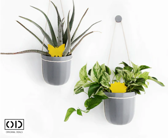 capcane adezive insecte ghiveci capcane lipicioase plante flori capcane galbene insecte daunatoare capcane muste tantari afide plante capcane pentru paianjeni si buburuze capcane anti insecte gradina sera set capcane adezive flori fluturi capcane naturale fara chimicale plante capcane lipicioase pentru interior si exterior capcane insecte original deals [2]