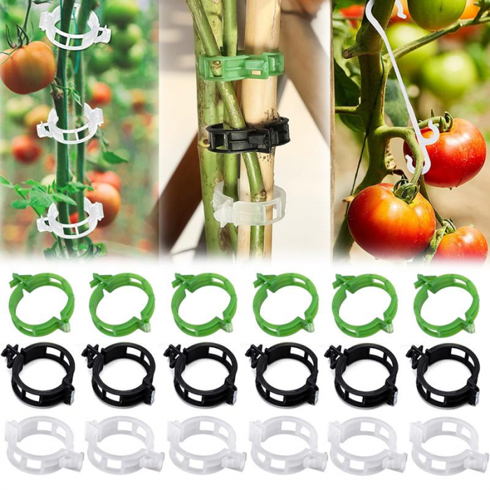 Clips prindere Vita de Vie Clips prindere corzi legume fructe Clipsuri pentru Corzi Vita de Vie  Clipsuri prindere Vita de vie clipsuri pentru plante dedeman ata de legat via dedeman clipsuri palisare rosii dedeman role pentru aparat de legat via dedeman ata legat rosii dedeman cleme plante fir de legat la vie clipsuri palisare hornbach [5]