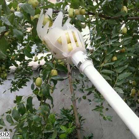 Culegator Hotoaica pentru Fructe si Legume [6]