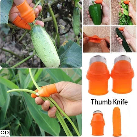 Degetar cu Lama pentru Taiat si Curatat Legume si Fructe, Compatibil pentru Gradinarit [21]