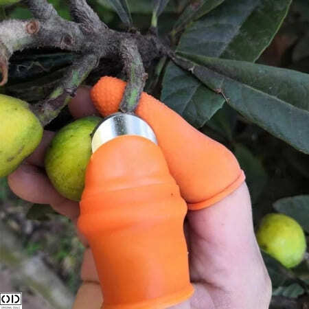 Degetar cu Lama pentru Taiat si Curatat Legume si Fructe, Compatibil pentru Gradinarit [18]