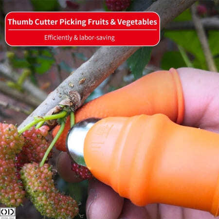 Degetar cu Lama pentru Taiat si Curatat Legume si Fructe, Compatibil pentru Gradinarit [24]