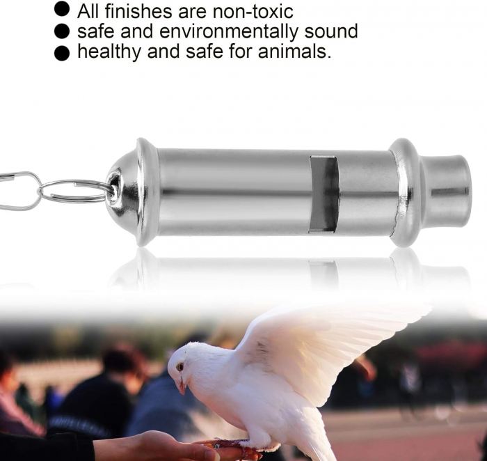 fluier romanesc fluier anti caini fluier anti urs fluier engleza fluier decathlon fluier toba fluier urs fluier impotriva ursilor tipuri de fluiere fluier instrument muzical fluier do major fluier ciobanesc [23]