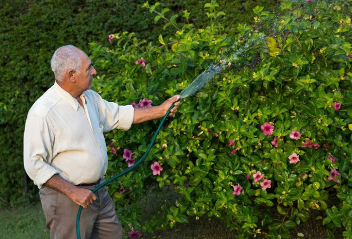 Furtun gradina armat Premium, 1/2&quot; diametru, 30 m, protectie UV, 8 bar presiune, 4 straturi, verde [2]