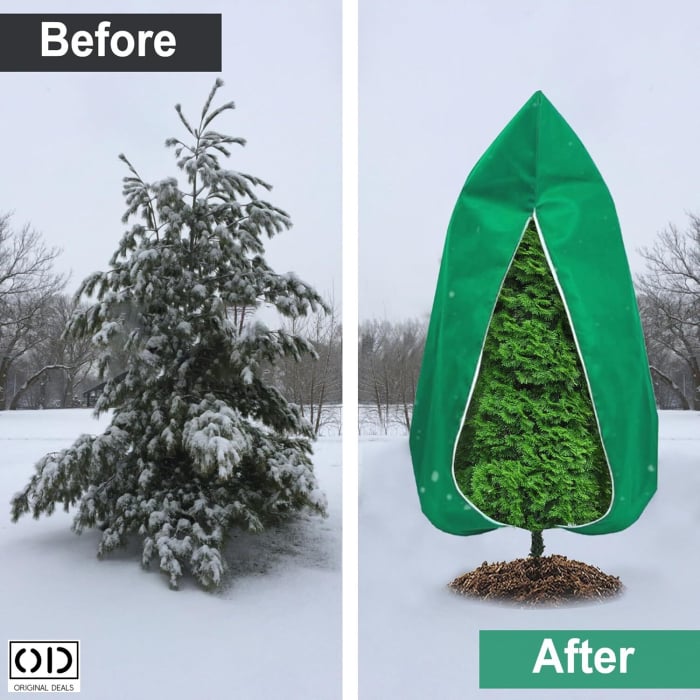 Husa Anti-Inghet pentru Pomi si Plante Exterior Impermeabila cu Fermoar si Snur Protectie Iarna [11]