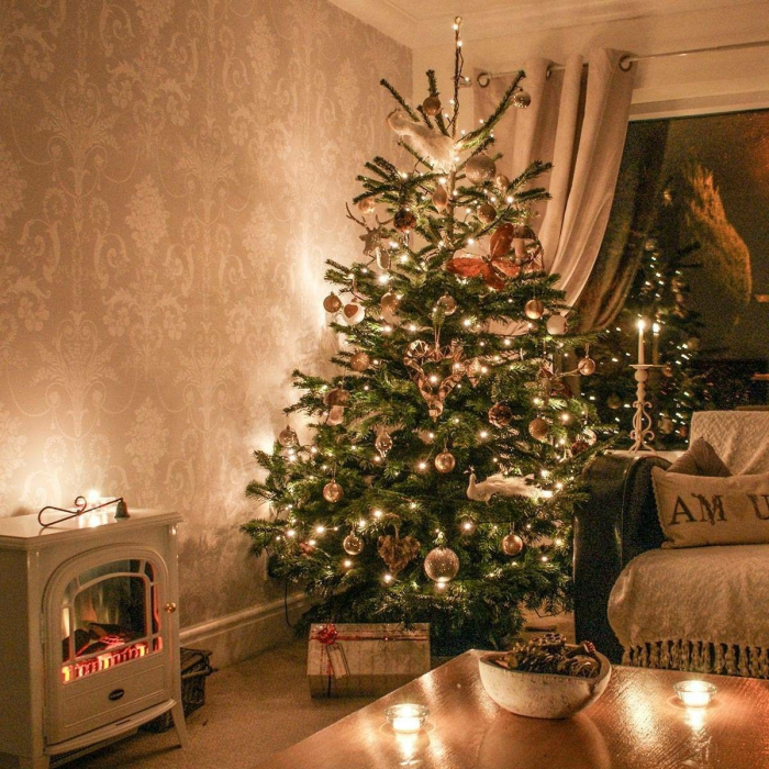 Instalatie Craciun, 5 m, 50 Led-uri ,Liniara, Alb cald, 8 jocuri de lumini, Transformator, Interconectabila, Prelungitor 3 m inclus, Fir Verde,  [2]