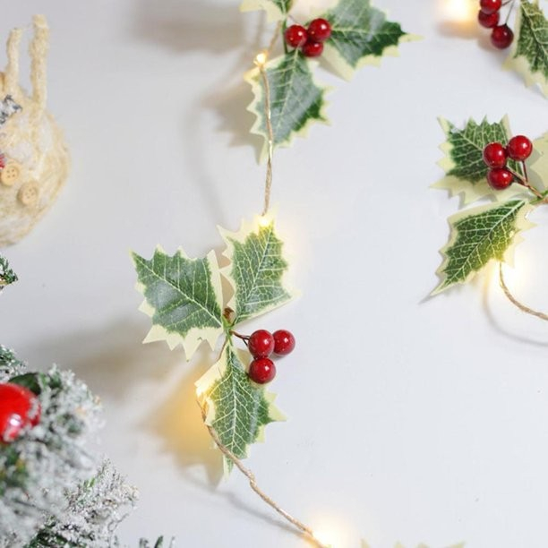 Instalatie Craciun cu baterii, 2 metri, 20 LED-uri tip fructe rosii, Alb Cald,  [2]