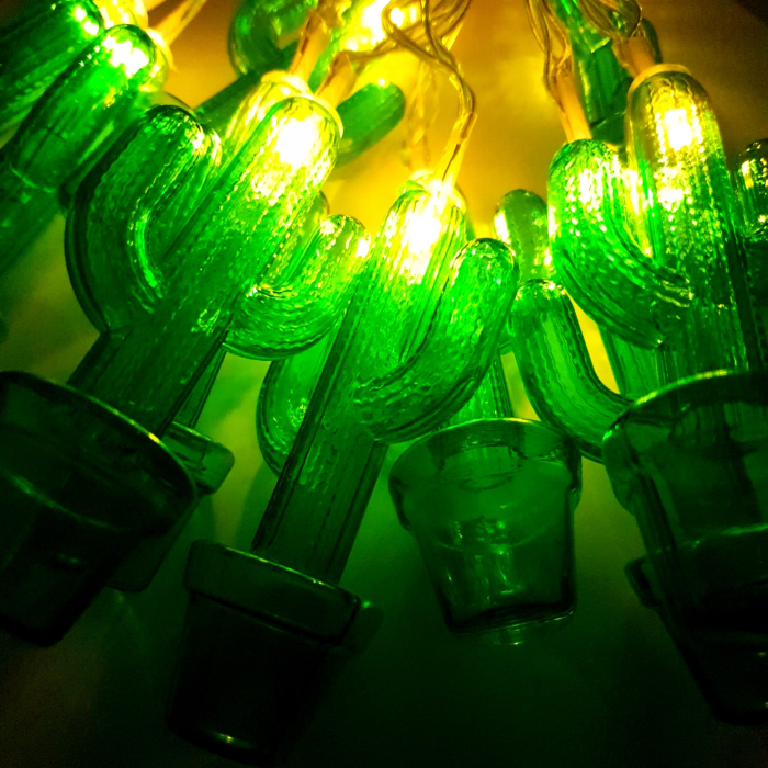 Instalatie de Craciun cu Baterii Fir Transparent Tip Sir 1.5 m 10 LED -uri Cactus Alb Cald [4]