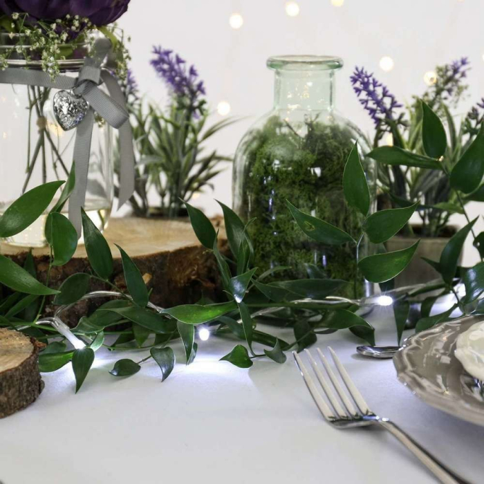 Instalatie de Craciun cu Baterii Tip Liniar, 2 jocuri de lumini, Fir Transparent 3 m 30 LED -uri, Alb Rece [2]