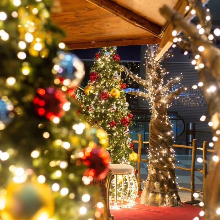 Instalatie de Craciun liniara Yoto, 24 m, din care 1 m cablu priza 220V, 300 LED, 8 jocuri de lumini, beculet in 6 colturi, pentru interior, controler, fir negru, alb cald [6]