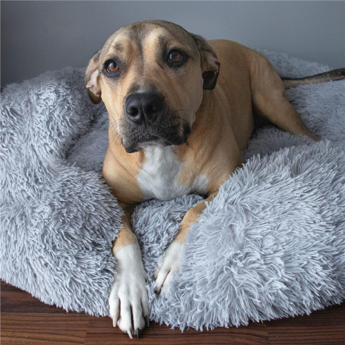 Pat Sersimo pentru caini si pisici, cu husa detasabila, gri, diametru 100cm [10]