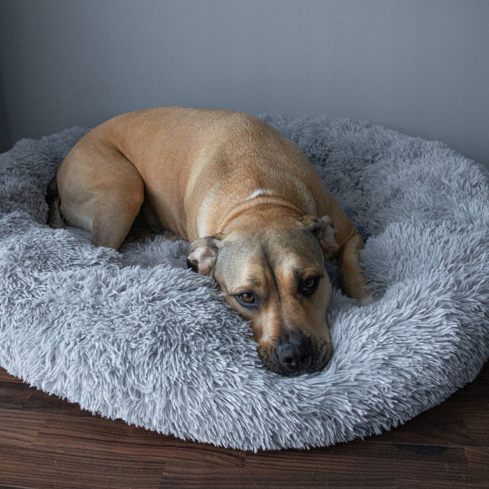 Pat Sersimo pentru caini si pisici, cu husa detasabila, gri, diametru 120cm [14]