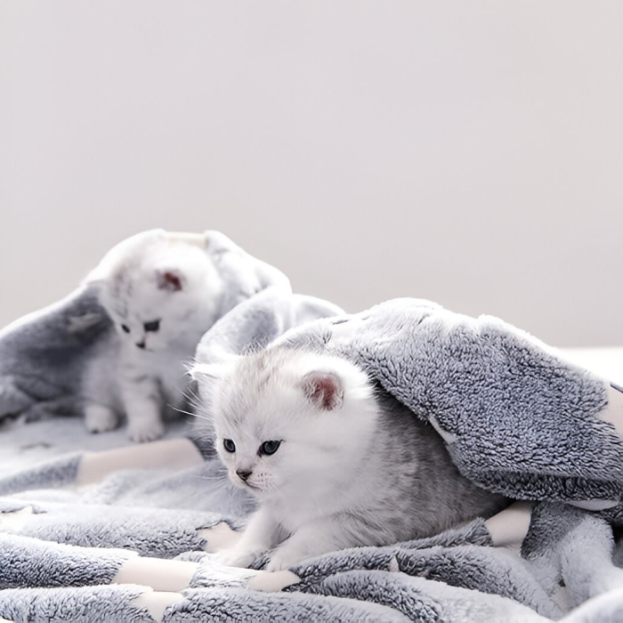 Patura Fosforescenta, , Moale, Pufoasa, Lumineaza in Intuneric, 1.5x2 m, Model Cer Instelat, Gri [7]