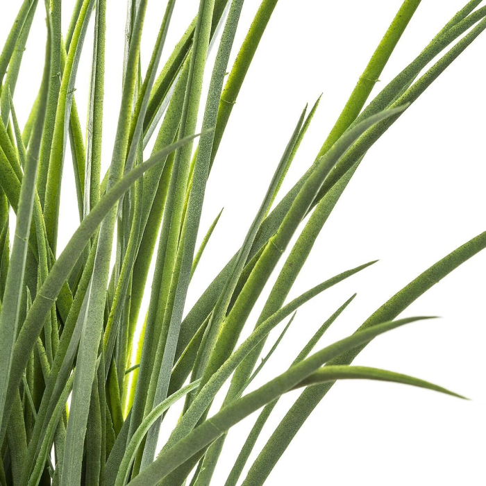 Planta decorativa Atmosphera, iarba in ghiveci impletit, 18x46 cm, maro natur [3]