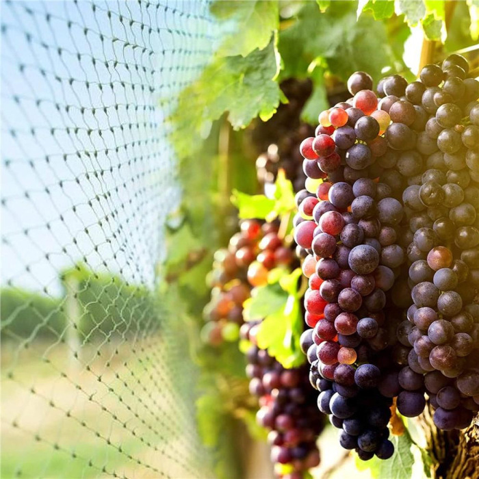 Plasa anti pasari 4x5m din polietilena, verde [5]