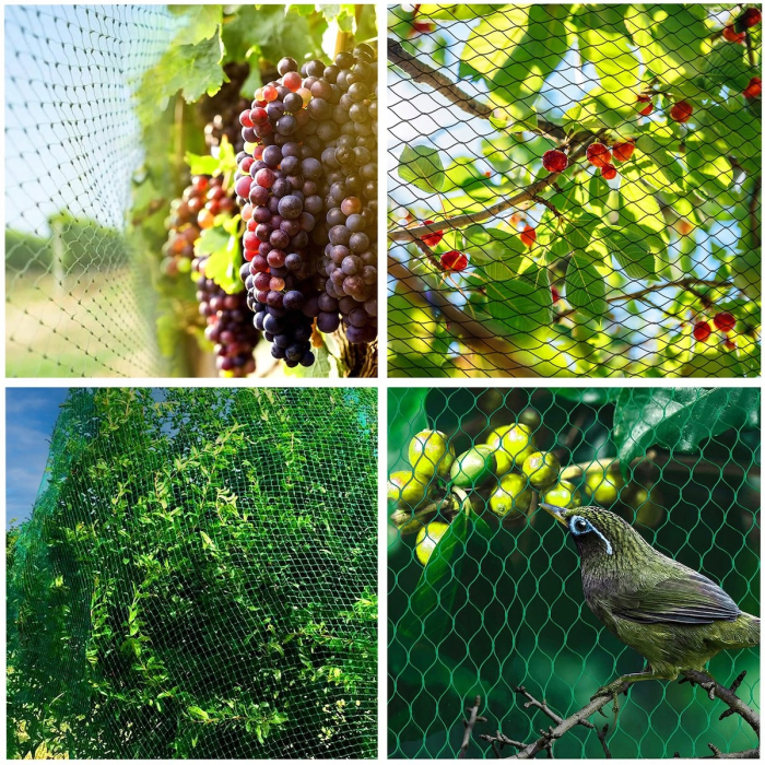 Plasa anti pasari 4x5m din polietilena, verde [17]