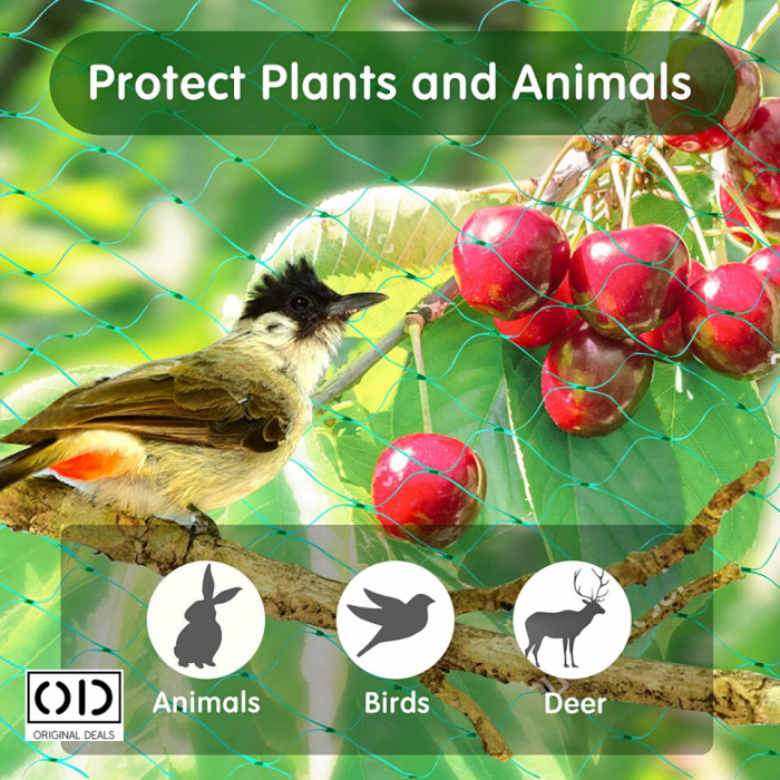 Plasa protectie impotriva pasarilor Plasa de protectie pentru pomi fructiferi Protectie impotriva daunatorilor Plase de protectie impotirva pasarilor daunatoare solutie impotriva daunatorilor pomi [10]
