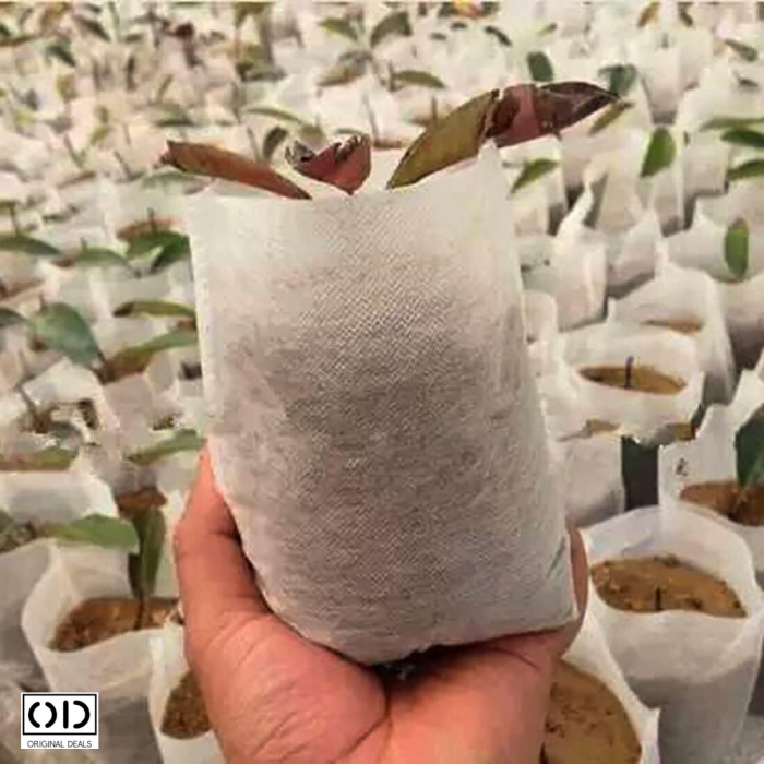 Sac pentru Germinat Seminte si Rasaduri de Legume Seminte si aparate pentru germinat starter pentru germinat seminte Vas pentru germinare Sac pentru Germinat Seminte si Rasaduri de Legume [6]