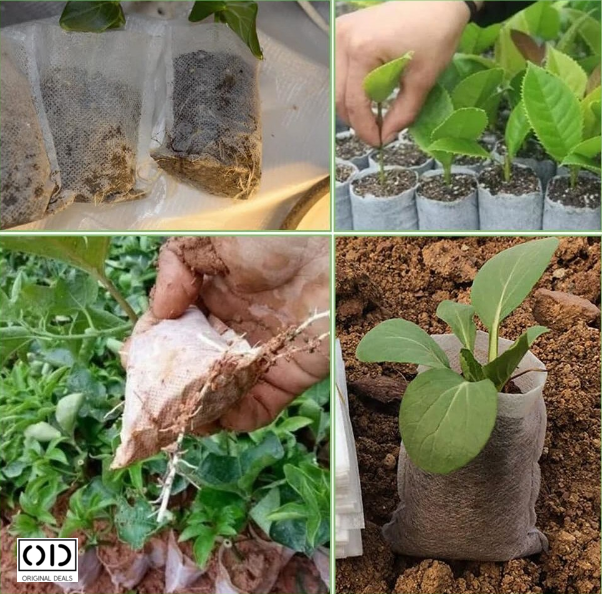 Sac pentru Germinat Seminte si Rasaduri de Legume Seminte si aparate pentru germinat starter pentru germinat seminte Vas pentru germinare Sac pentru Germinat Seminte si Rasaduri de Legume [14]