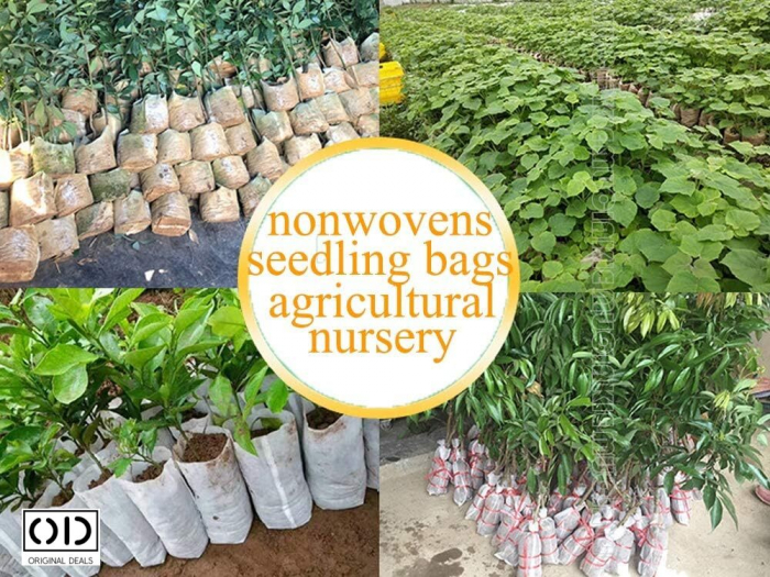 Sac pentru Germinat Seminte si Rasaduri de Legume Seminte si aparate pentru germinat starter pentru germinat seminte Vas pentru germinare Sac pentru Germinat Seminte si Rasaduri de Legume [17]