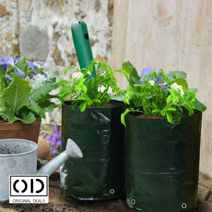 legume pe balcon Sac pentru plantat legume si fructe legume si fructe plantat acasa pe balcon Sac pentru legume si fructe pe balcon acasa Saculet cu pamant pentru plantat legume si fructe acasa Legume si fructe Bio [21]
